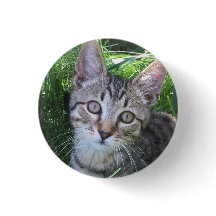 Graue getigerte Katzen-Schaltfläche