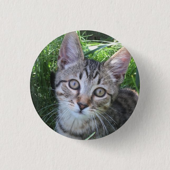 Graue getigerte Katzen-Schaltfläche Button (Vorderseite)