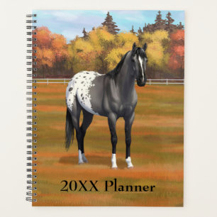 Graue Grulla Appaloosa Vierter Stallion Planer