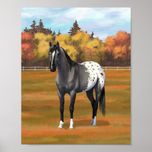 Graue Grulla Appaloosa Vierter Stallion Poster