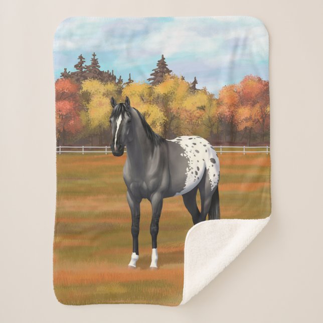 Graue Grulla Appaloosa Vierter Stallion Sherpadecke (Vorderseite)