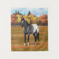Graue Grulla Appaloosa Vierter Stallion