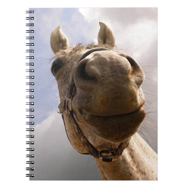 Graue Horse Nase Nah Notizblock (Vorderseite)