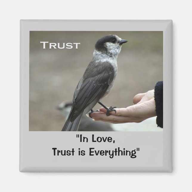 Graue Jay-Motivierend Magnete (Vorne)