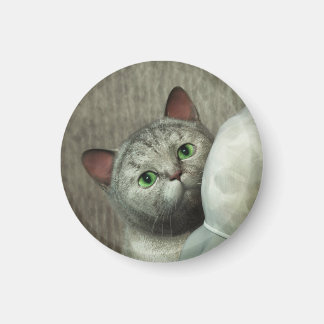 Graue Katze 1 Magnet