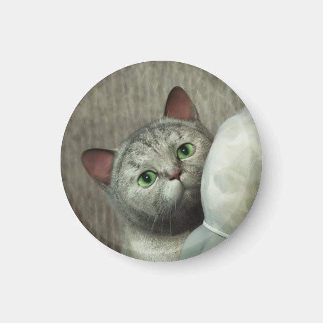 Graue Katze 1 Magnet (Vorne)