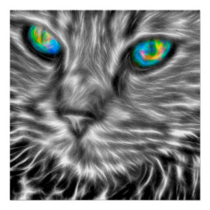 Graue Katze Art 20" x 20", Posterpapier (Semi-Glos Poster