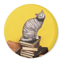 Graue Katze auf einem Stapel von Büchern Magnet