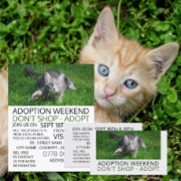Graue Katze auf Gras, Adoption von Begleitern
