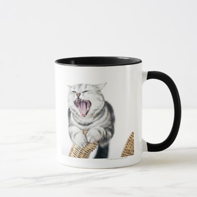 graue Katze auf weißem Hintergrund Tasse (Rechts)