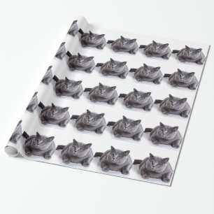 Graue Katze Geschenkpapier