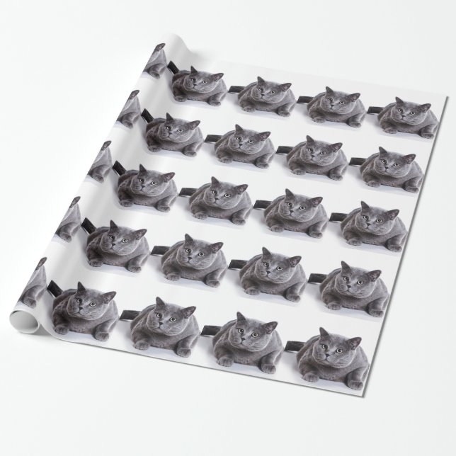 Graue Katze Geschenkpapier (Ungerollt)