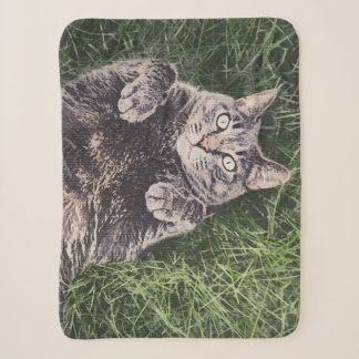 graue Katze liegt auf einer digitalen Sherpa-Decke Sherpadecke