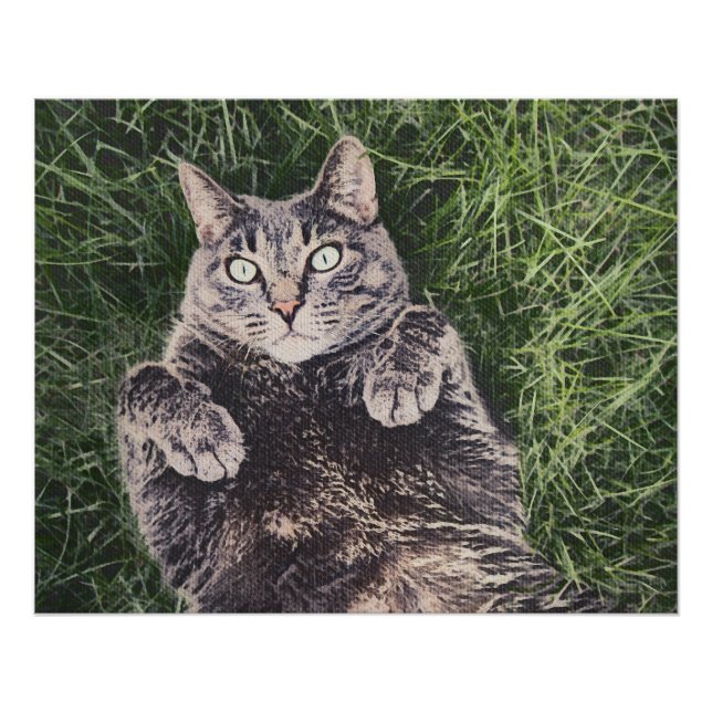 graue Katze liegt im Gras Poster (Vorderseite)