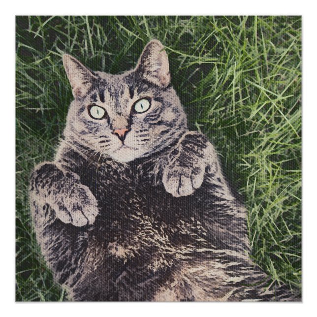 graue Katze liegt im Gras Poster (Vorderseite)