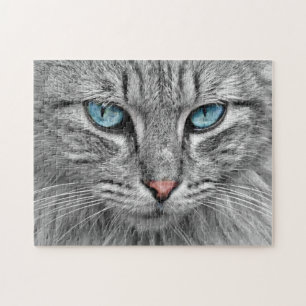 Graue Katze mit blauen Augen Puzzle