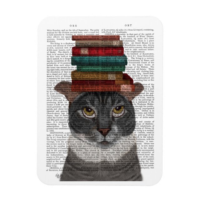 Graue Katze mit Büchern auf Kopf Magnet (Vertikal)