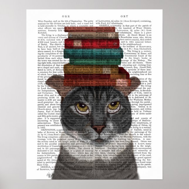 Graue Katze mit Büchern auf Kopf Poster (Vorne)