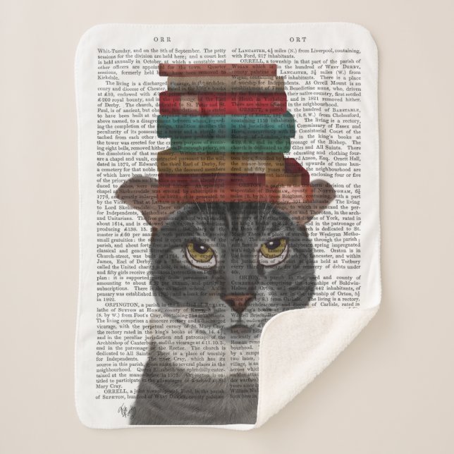 Graue Katze mit Büchern auf Kopf Sherpadecke (Vorderseite)
