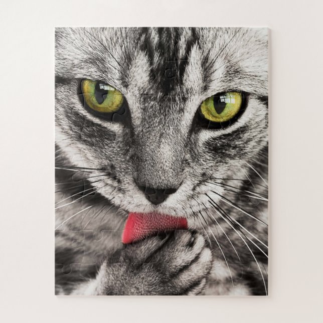Graue Katze mit gelben Augen leckende Paste Puzzle (Vertikal)