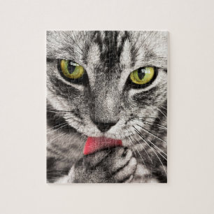 Graue Katze mit gelben Augen leckende Paste Puzzle