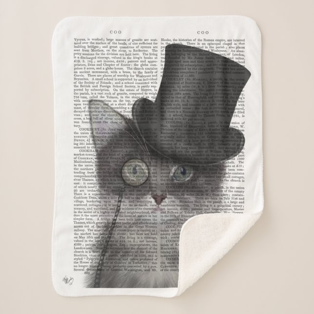 Graue Katze mit Top Hat Sherpadecke (Vorderseite)