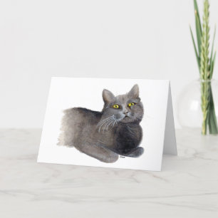 Graue Katze Sympathie Grußkarte Karte