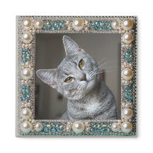 Graue Katze Tier-Erinnerungsanker