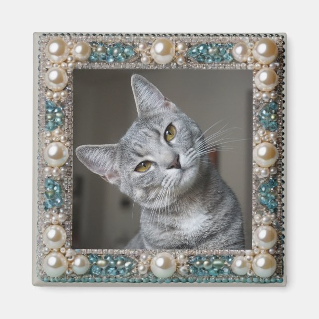 Graue Katze Tier-Erinnerungsanker  Magnet (Vorne)
