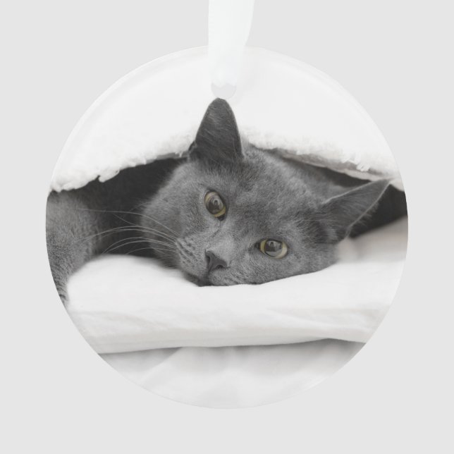 Graue Katze unter weißer Decke Ornament (Vorderseite)