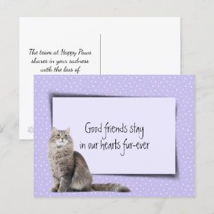 Graue Katze Verlust von Tierarzt Postkarte