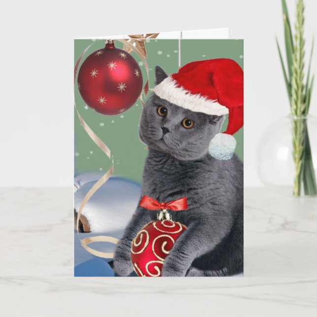 Graue Katze Weihnachtsspielkarten Feiertagskarte (Vorderseite)