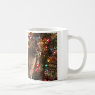 Graue Katze WeihnachtsTasse Tasse