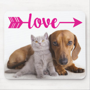Graue Katze Welpe Hund Süße Katze Dachshund Mousepad