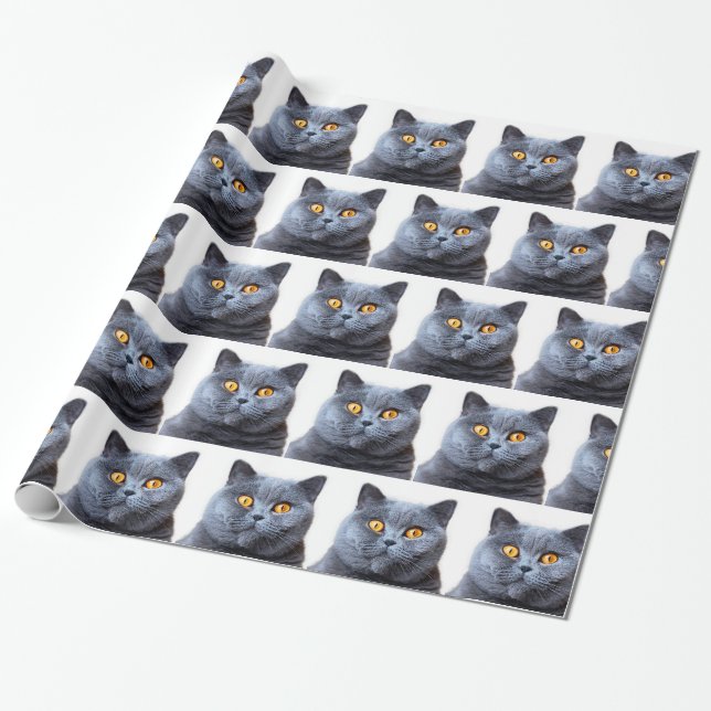 Graue Katzengelbe Augen Geschenkpapier (Ungerollt)