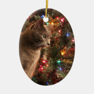 Graue Katzenverzierung Keramikornament