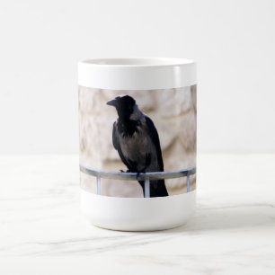 Graue Krähen-Tasse Tasse