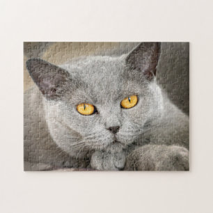 Graue, Kurze Haarkatze Puzzle