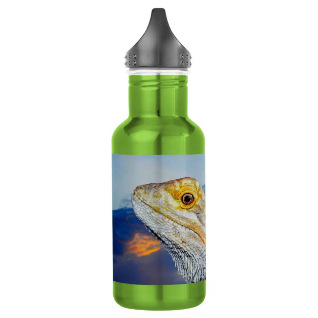 Graue Lizard bei Sonnenuntergang Wasserflasche (Links)