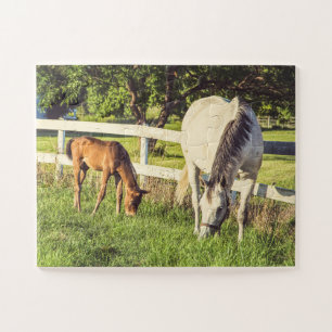 Graue Mare & Foal Pferde Oversifiziert Puzzle
