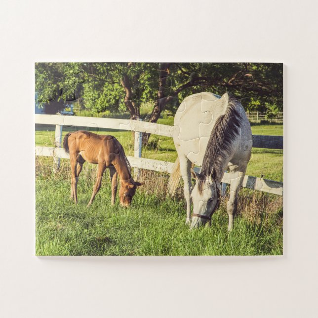 Graue Mare & Foal Pferde Oversifiziert Puzzle (Horizontal)