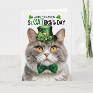 Graue Marmor-Tabby-Katze St CATrick's Day Glücksbr Feiertagskarte