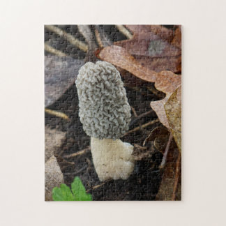 Graue Morchel-Pilz Puzzle