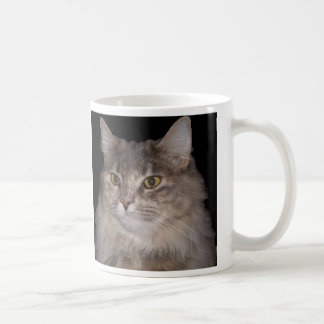 Graue Pelzkatze auf Kaffeetasse