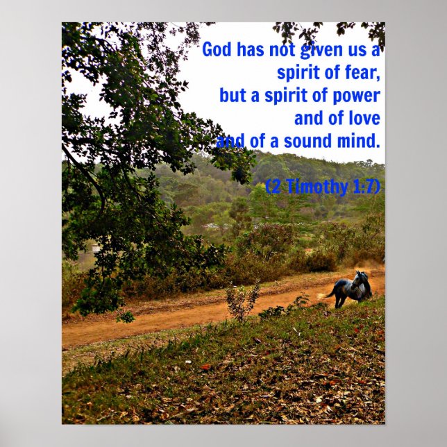 Graue Pferde Inspiration Timothy Bible Verse Gott Poster (Vorne)
