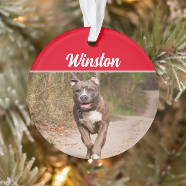 Graue Pit Bull mit Namen und Foto Weihnachten Ornament (Baum)