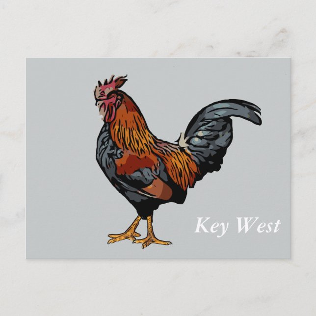 Graue Rooster Key West Post Card Postkarte (Vorderseite)
