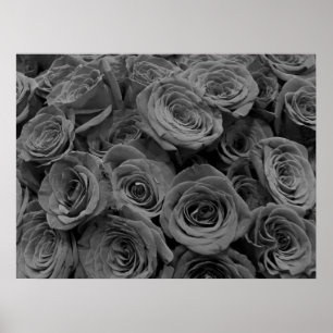 Graue Rose, graues Foto Poster