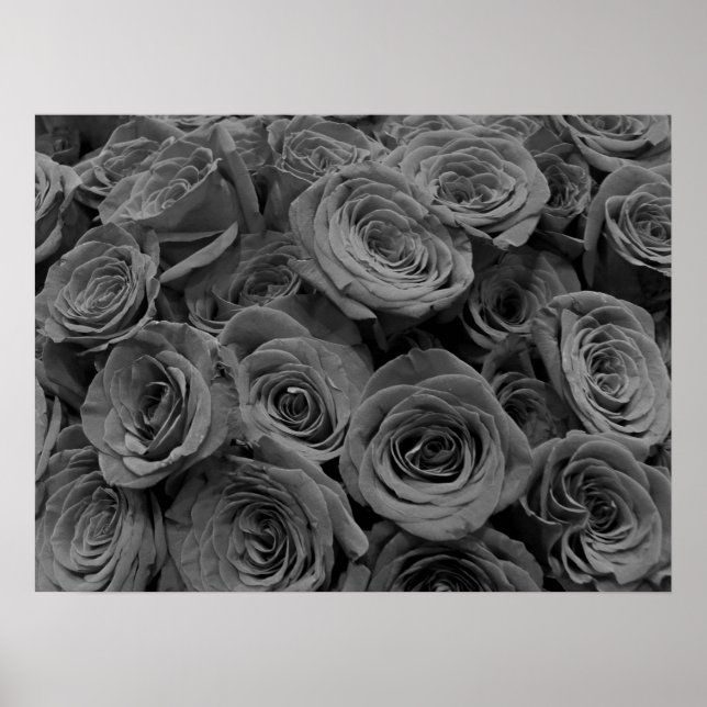 Graue Rose, graues Foto Poster (Vorne)