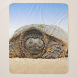 GRAUE SANDSCHILDKRÖTE SHERPADECKE